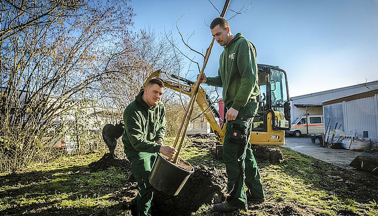 DRK-Mitarbeiter auf Leiter schneidet Baumäste