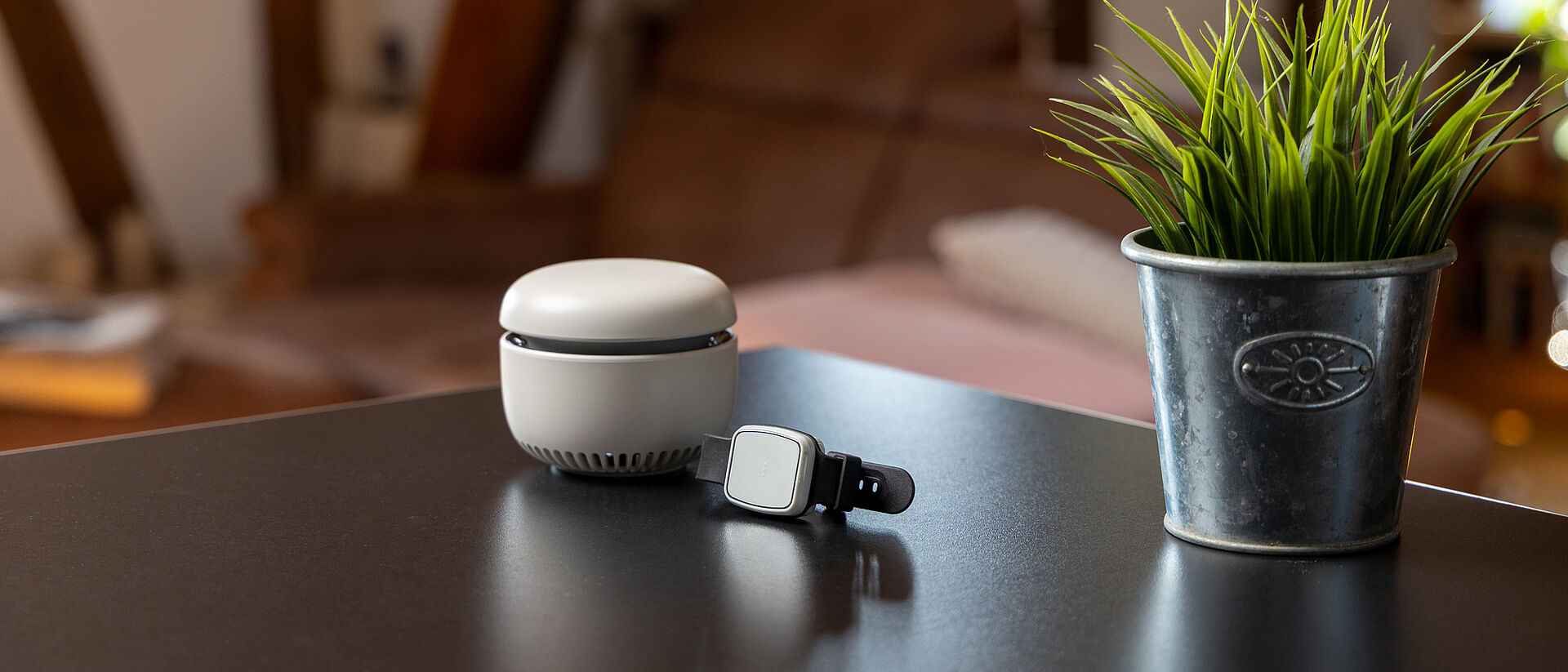 Hausnotrufgerät mit Armband liegt auf einem Tisch neben Pflanze