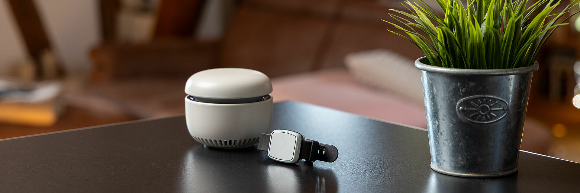 Hausnotrufgerät mit Armband liegt auf einem Tisch neben Pflanze