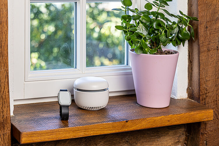 Kompaktes Hausnotrufgerät mit Armband auf Fensterbank neben Blumentopf