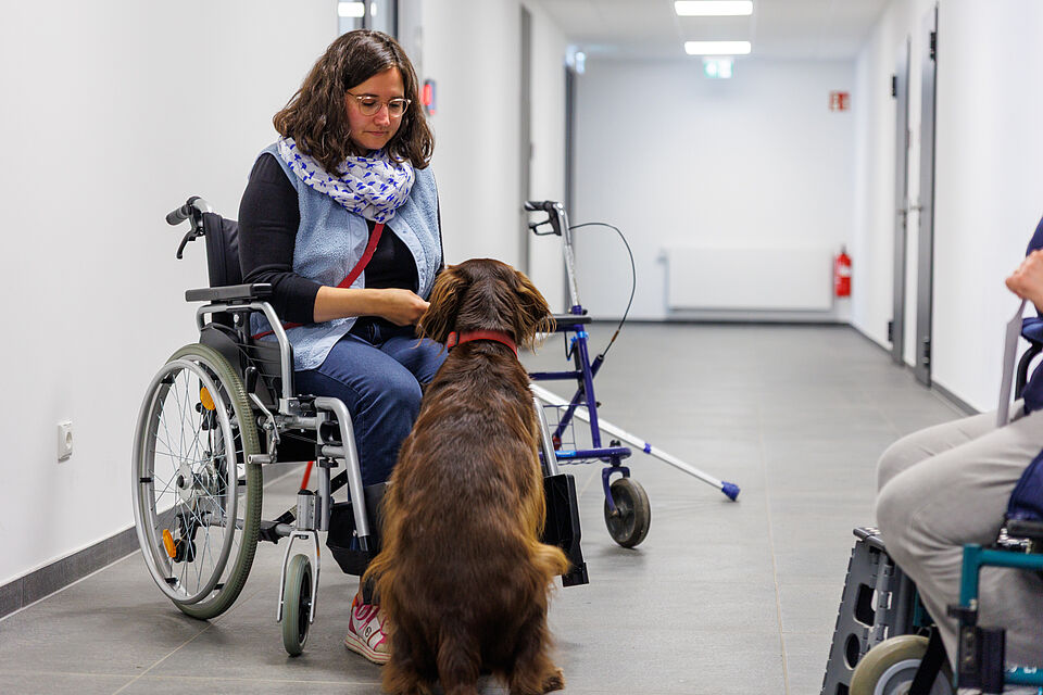 Chico lernt den Rollstuhl kennen