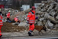 DRK_Rettungshunde_Mittelhessen_Marburg_Gießen