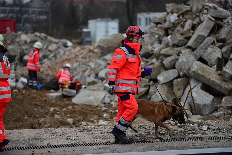 DRK_Rettungshunde_Mittelhessen_Marburg_Gießen DRK_Rettungshunde_Mittelhessen_Marburg_Gießen